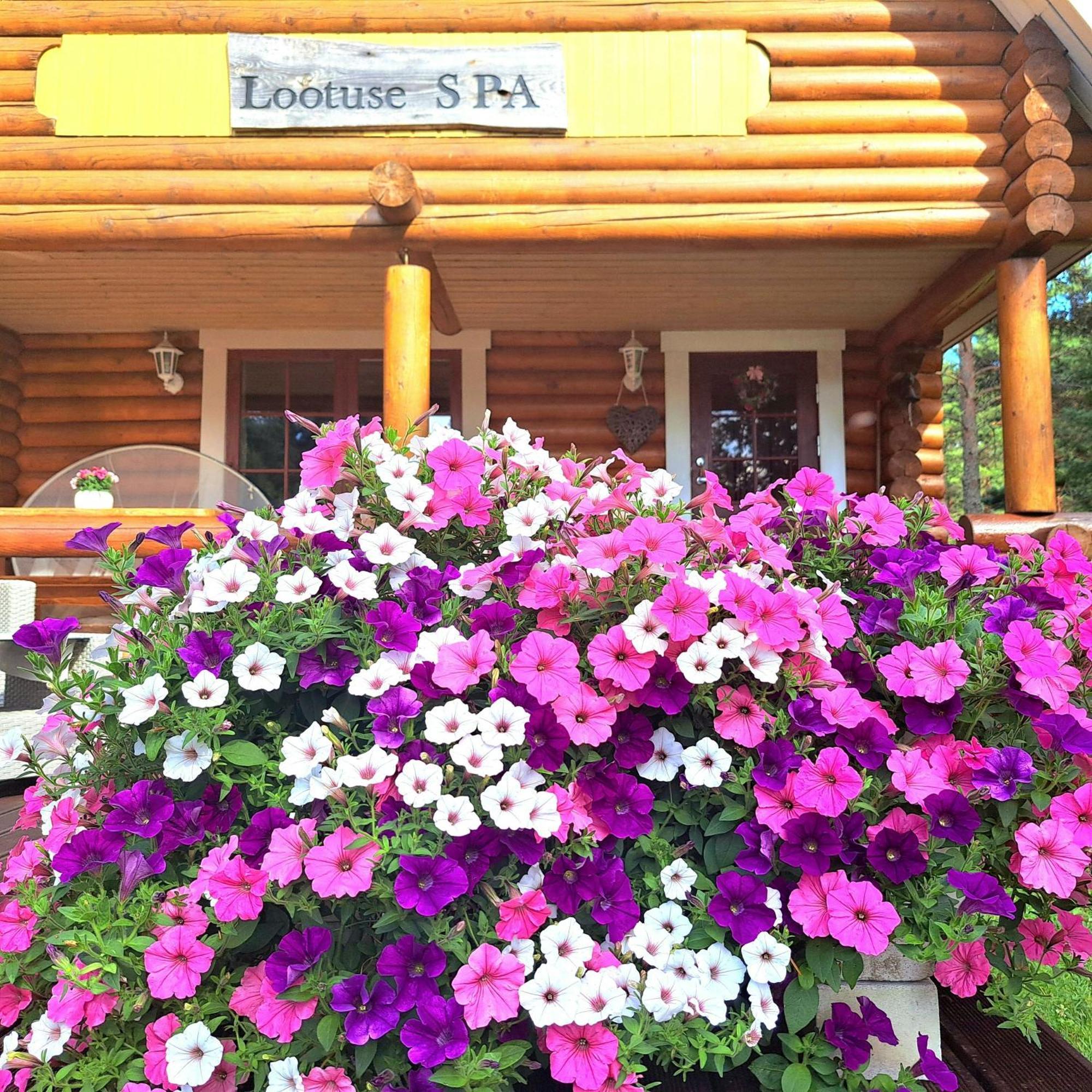 Lootuse Spa Nommemaa Εξωτερικό φωτογραφία